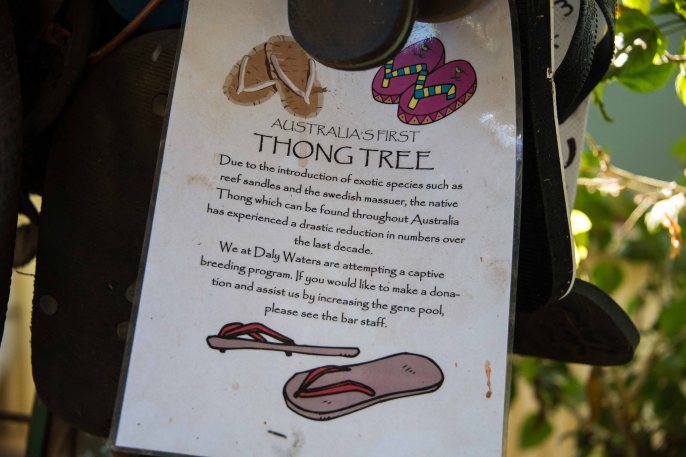 25-7 throng tree sign